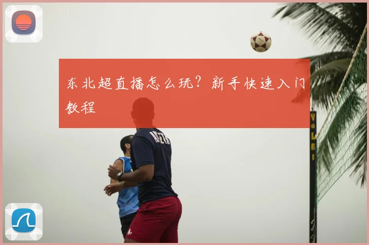 东北超直播怎么玩？新手快速入门教程