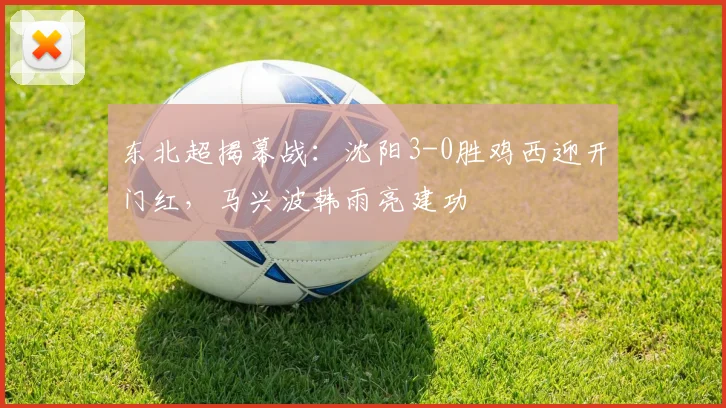 东北超揭幕战：沈阳3-0胜鸡西迎开门红，马兴波韩雨亮建功