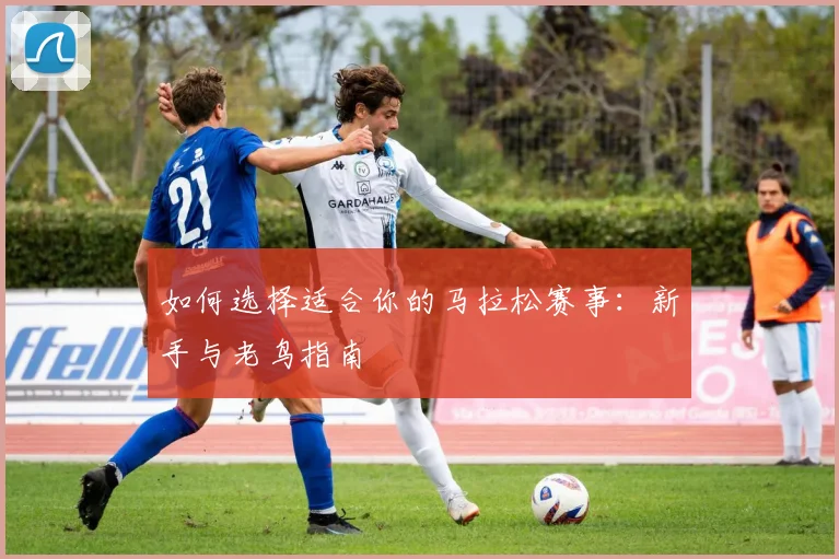 如何选择适合你的马拉松赛事:新手与老鸟指南