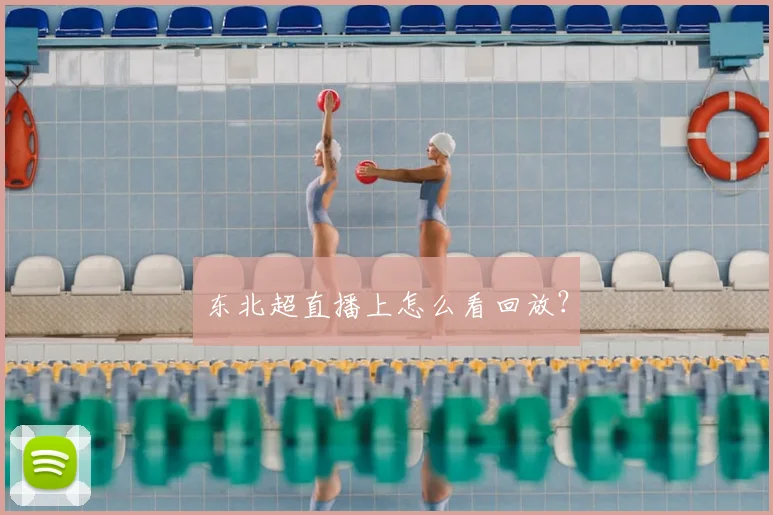 东北超直播上怎么看回放？
