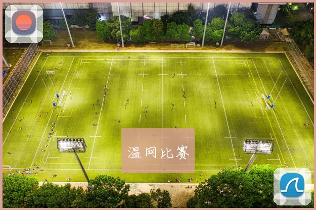 温网比赛