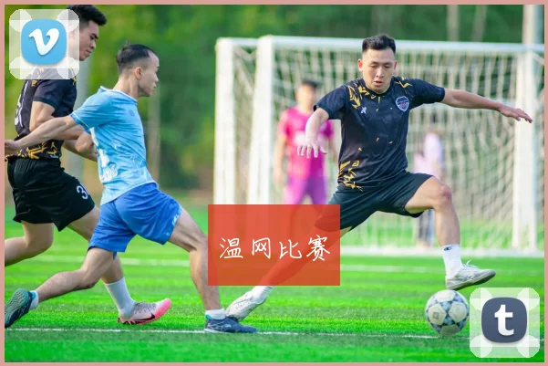 温网比赛