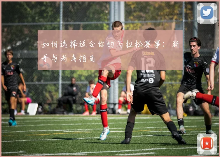 如何选择适合你的马拉松赛事：新手与老鸟指南